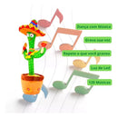 KIT 4 Brinquedo Cacto Dançante Falante Imita c/ Musicas Repete Falas