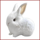Coelho Interativo Realista de Pelúcia
